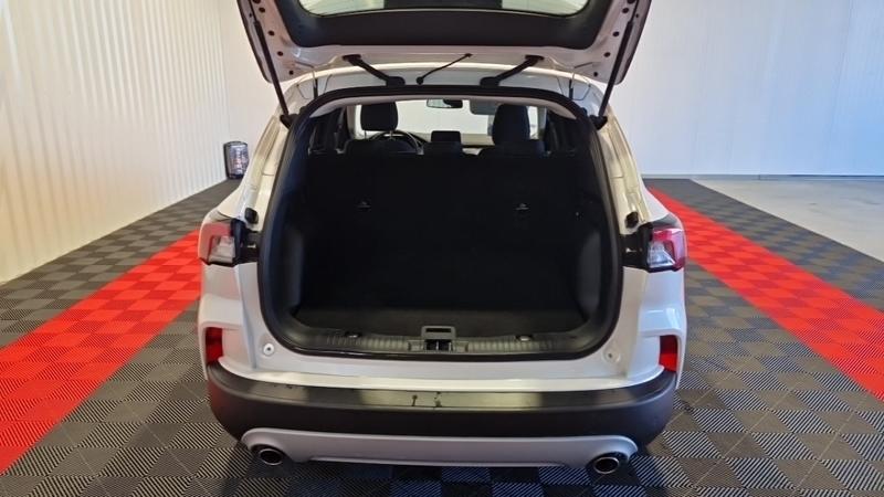 Ford Kuga 2.5 Duratec 190 Ch Flexifuel Fhev E85 Powershift Titani