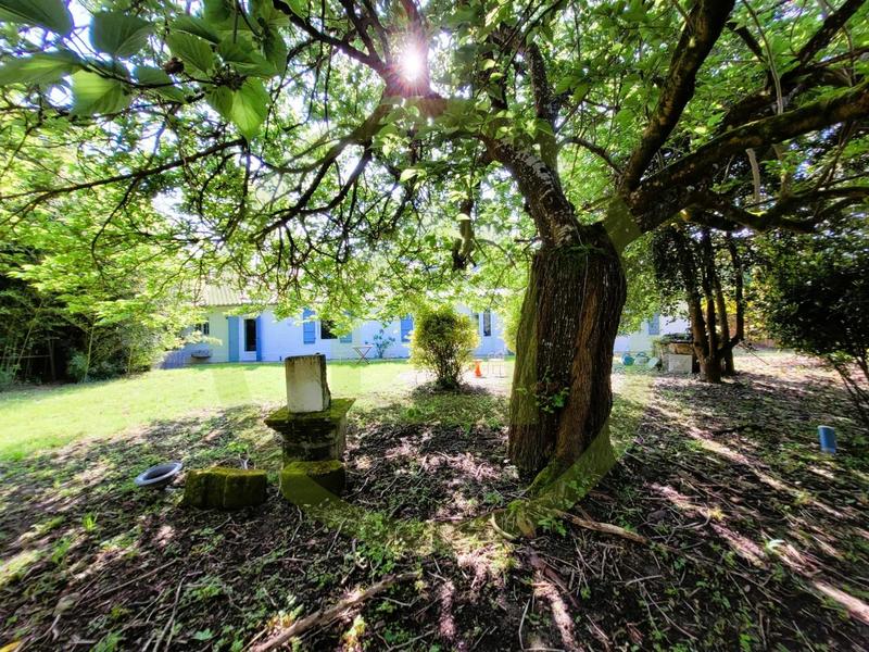 Maison - 380 m² - 9 pièces