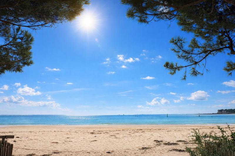 Appartement - 33 m² - 2 pièces