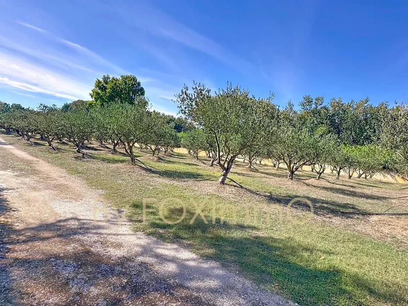 Propriété - 653 m² - 28 pièces