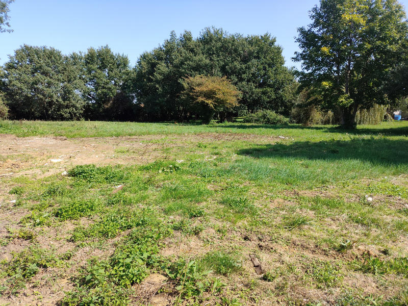 Terrain constructible - 1 286 m²