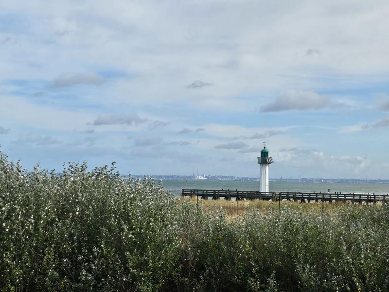 Appartement - 48 m² - 1 pièce