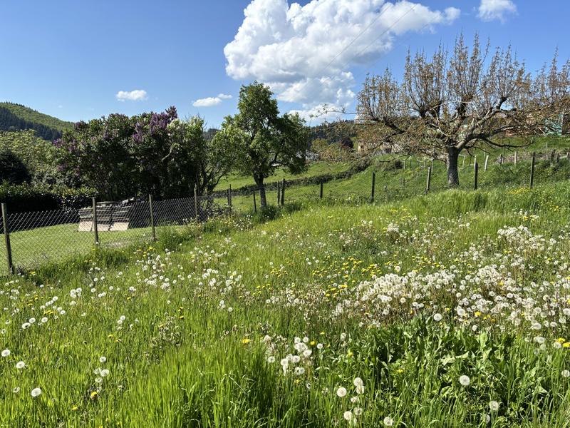 Maison ancienne - 94 m² - 4 pièces
