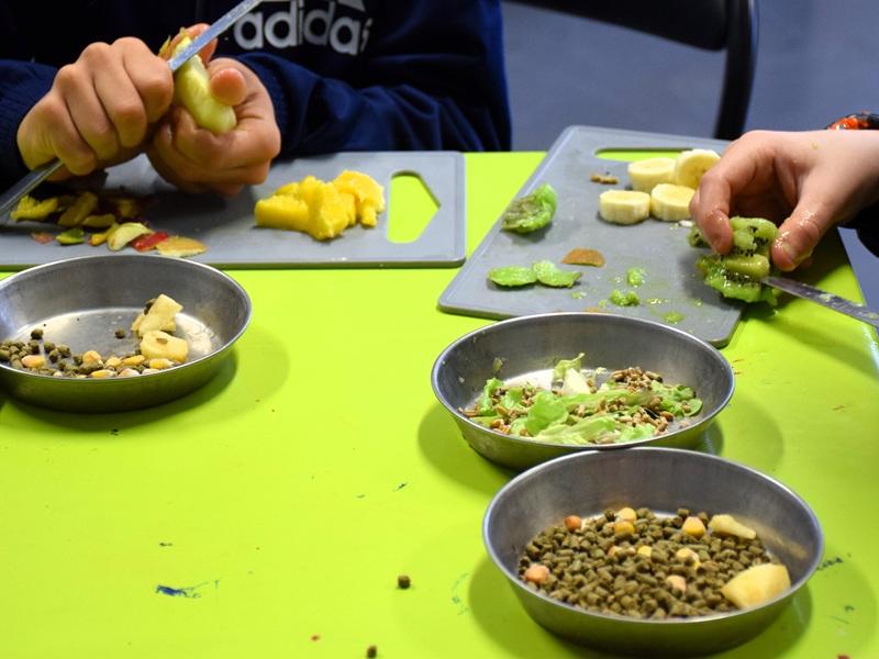 Atelier nourrissage spécial Oiseaux