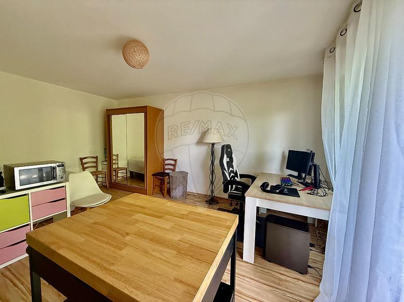 Studio - 31 m² - 1 pièce