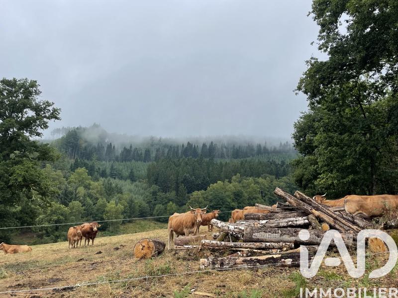 Terrain - 121 370 m²