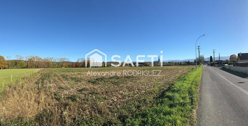 Terrain - 1 372 m²