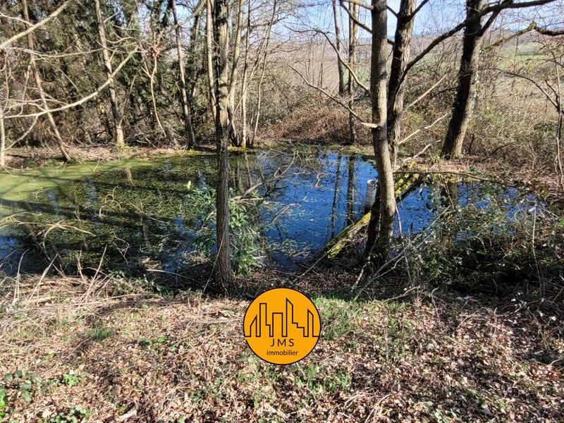 Ferme - 129 m² - 4 pièces