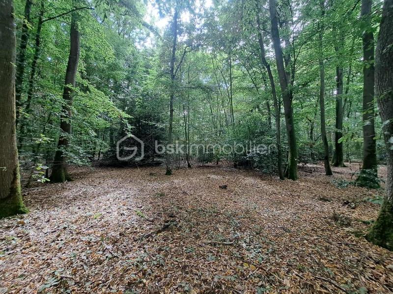 Maison - 117 m² - 4 pièces