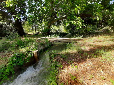 Mas - 270 m² - 7 pièces