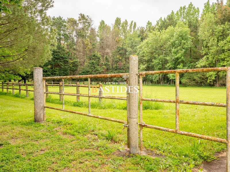 Maison ancienne - 316 m² - 9 pièces