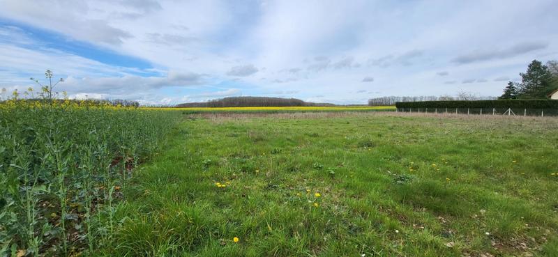 Terrain constructible - 2 400 m²