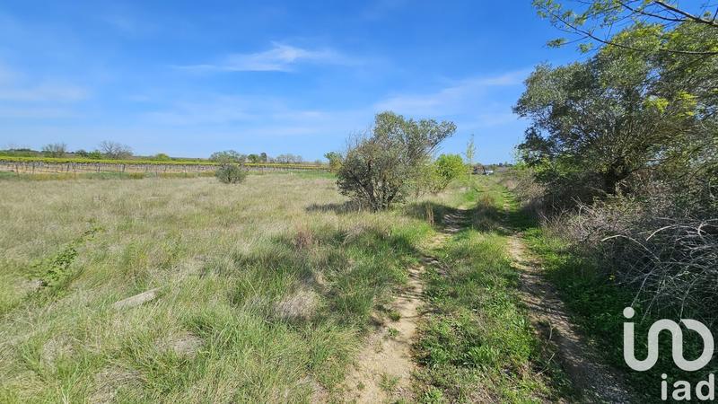 Terrain agricole - 6 541 m²