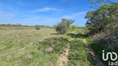 Terrain agricole - 6 541 m²
