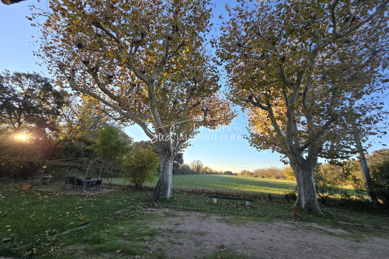 Mas - 235 m² - 2 pièces