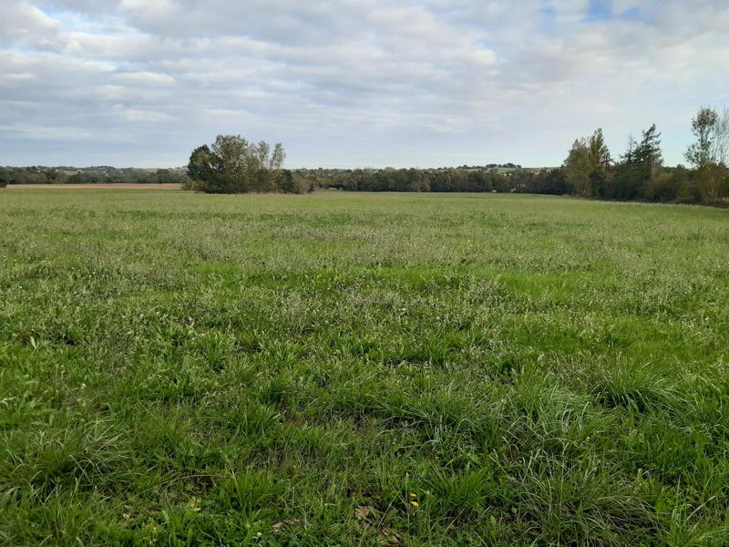 Maison - 205 m² - 6 pièces