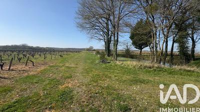 Château - 1 256 m² - 25 pièces