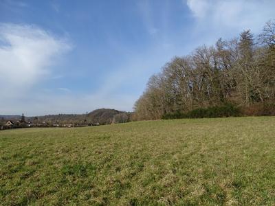 Terrain constructible - 19 000 m²