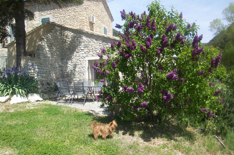 Mas - 218 m² - 7 pièces