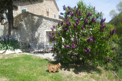 Mas - 218 m² - 7 pièces