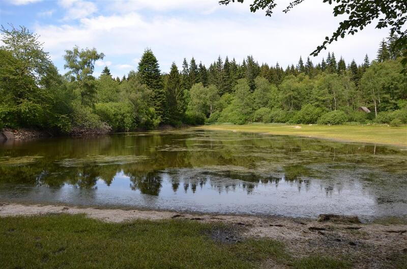 Balade nature : Préperny, trésor du Haut-Folin, lundi 13 avril 2026