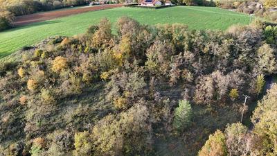 Terrain - 13 065 m²