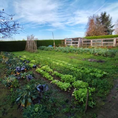 Maison - 230 m² - 10 pièces