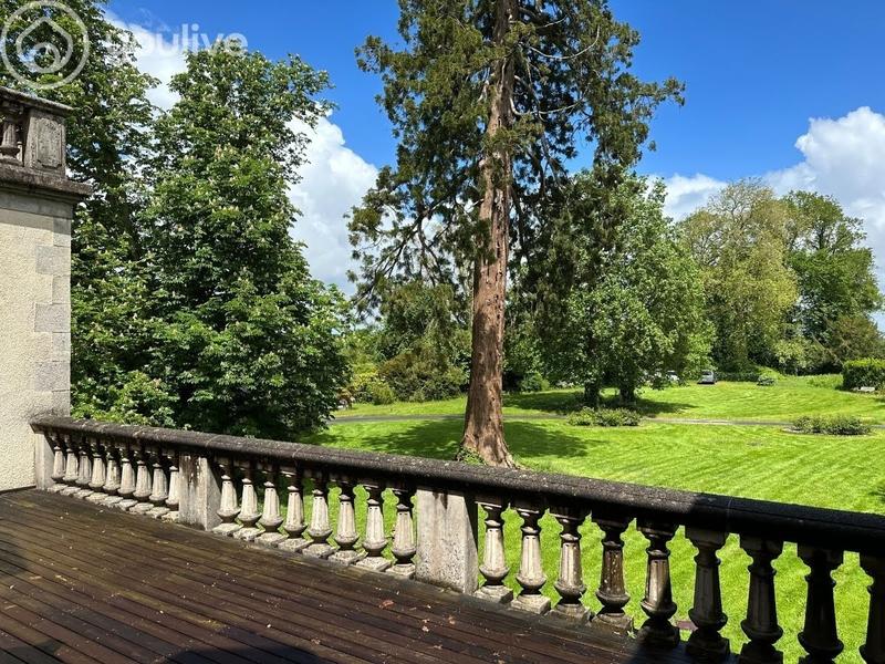 Manoir - 1 000 m² - 12 pièces