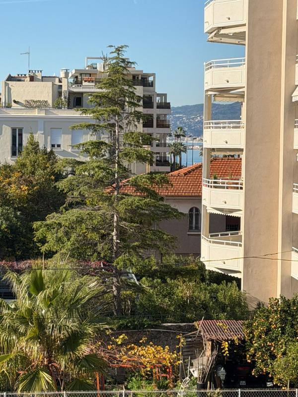 Studio - 24 m² - 1 pièce