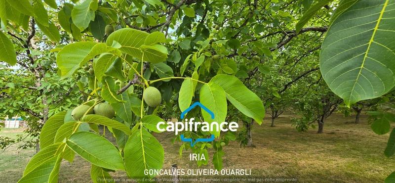 Propriété - 160 m² - 6 pièces