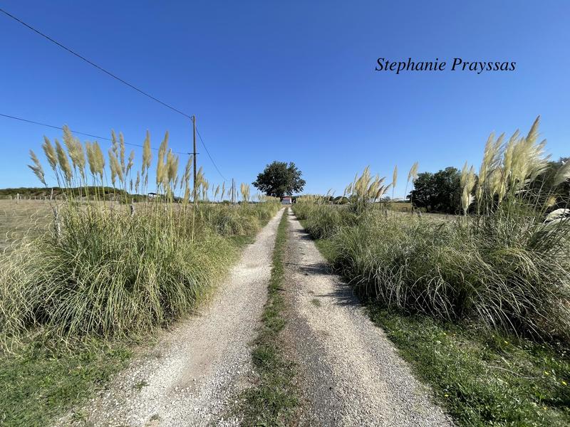 Corps de ferme - 300 m² - 10 pièces