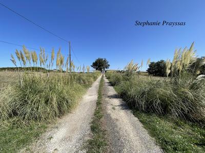 Corps de ferme - 300 m² - 10 pièces