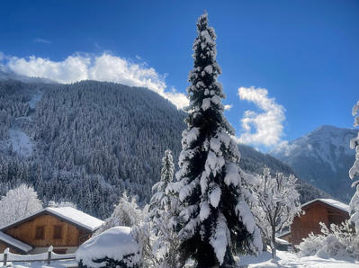 Maison - 176 m² - 7 pièces