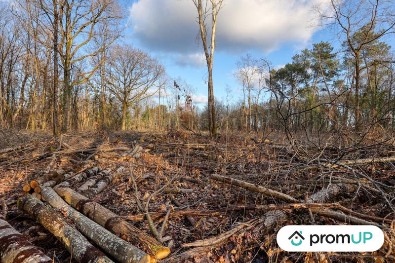 Terrain de loisirs - 3 925 m²