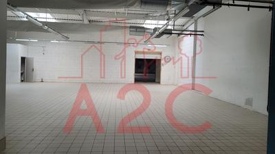 Local d'activité / Entrepôt - 1 126 m²