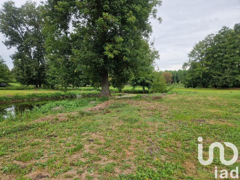 Terrain - 21 351 m²