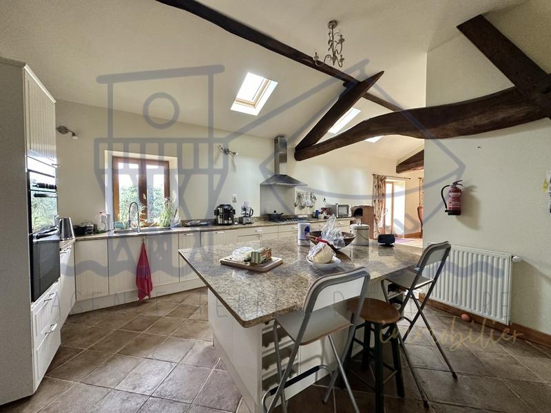 Maison ancienne - 387 m² - 8 pièces