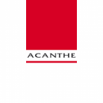 Acanthe