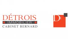 DETROIS IMMOBILIER