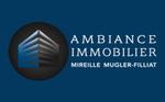 AMBIANCE IMMOBILIER
