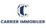 CARRIER PROPERTIES & INVESTMENTS