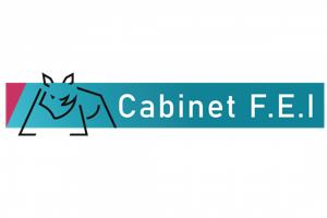 CABINET-FEI