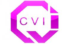 CVI - CRETEIL VAJOU IMMOBILIER