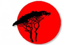 Agence Leonie Lelievre