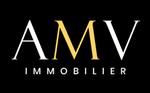AMV IMMOBILIER ILES D OR