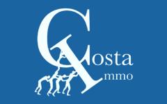 COSTA IMMOBILIER