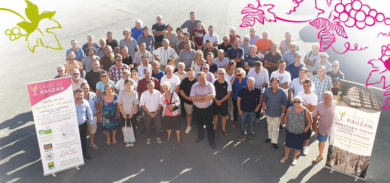 320 vignerons coopérateurs