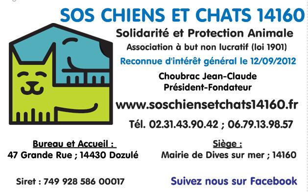 sos chiens et chats14160