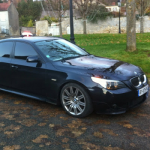 abeilles laurent taxis fleur