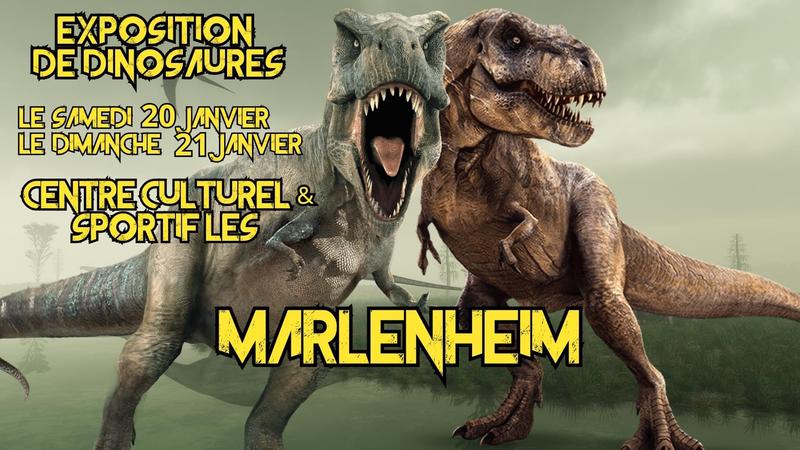 Exposition de dinosaure